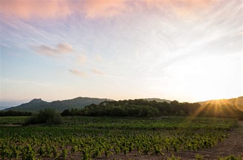 chanel winery in provence.